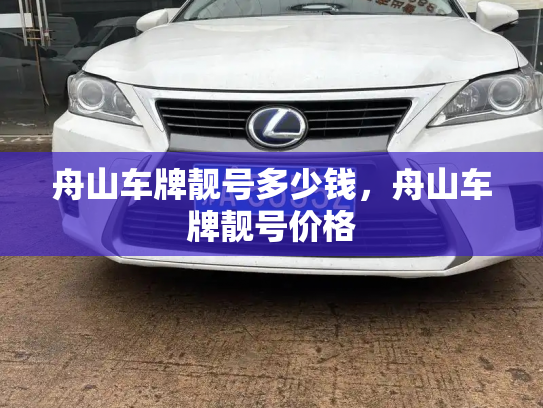 舟山车牌靓号多少钱，舟山车牌靓号价格-第4张图片-七号汽车选号