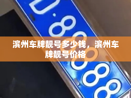 滨州车牌靓号多少钱，滨州车牌靓号价格-第3张图片-七号汽车选号