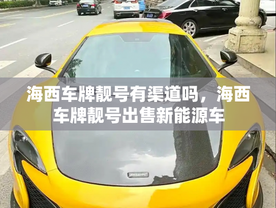 海西车牌靓号有渠道吗,海西车牌靓号出售新能源车-第2张图片-七号汽车选号 海西车牌靓号有渠道吗,海西车牌靓号出售新能源车-第2张图片-七号汽车选号