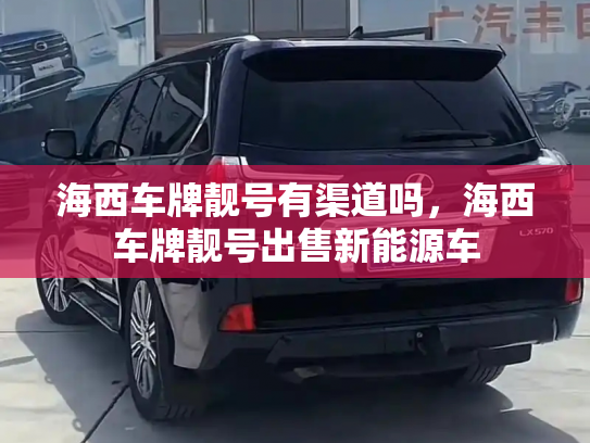 海西车牌靓号有渠道吗,海西车牌靓号出售新能源车-第3张图片-七号汽车选号 海西车牌靓号有渠道吗,海西车牌靓号出售新能源车-第3张图片-七号汽车选号