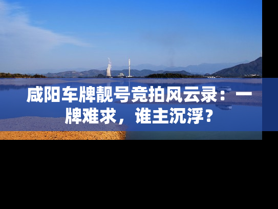 咸阳车牌靓号竞拍风云录：一牌难求，谁主沉浮？