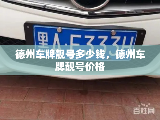 德州车牌靓号多少钱，德州车牌靓号价格-第4张图片-七号汽车选号