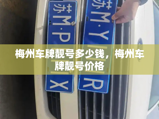 梅州车牌靓号多少钱，梅州车牌靓号价格-第3张图片-七号汽车选号