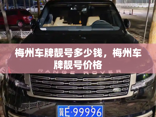 梅州车牌靓号多少钱，梅州车牌靓号价格-第4张图片-七号汽车选号