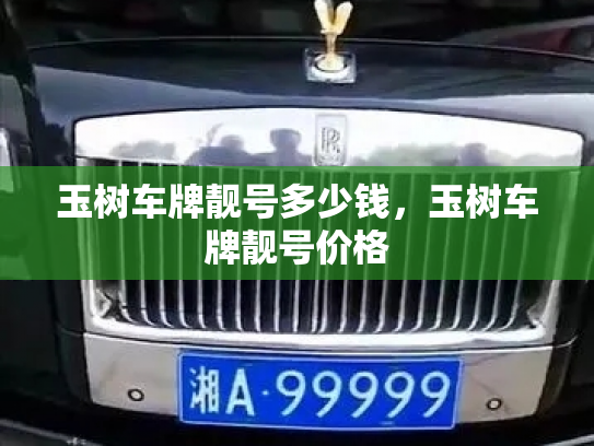 玉树车牌靓号多少钱，玉树车牌靓号价格-第3张图片-七号汽车选号