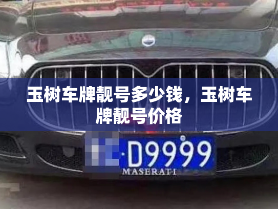 玉树车牌靓号多少钱，玉树车牌靓号价格-第4张图片-七号汽车选号