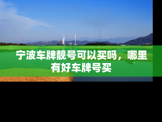 宁波车牌靓号可以买吗，哪里有好车牌号买