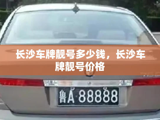 长沙车牌靓号多少钱，长沙车牌靓号价格-第4张图片-七号汽车选号