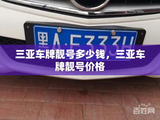 三亚车牌靓号多少钱，三亚车牌靓号价格-第4张图片-七号汽车选号