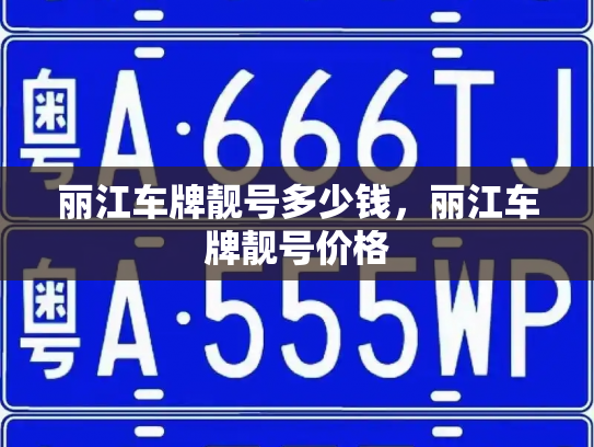 丽江车牌靓号多少钱，丽江车牌靓号价格-第3张图片-七号汽车选号