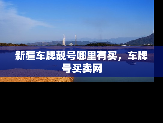 新疆车牌靓号哪里有买，车牌号买卖网
