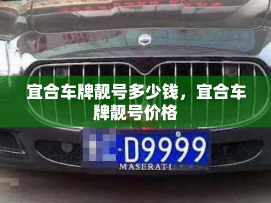 宜合车牌靓号多少钱，宜合车牌靓号价格-第4张图片-七号汽车选号