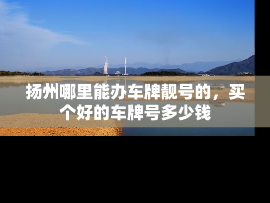扬州哪里能办车牌靓号的，买个好的车牌号多少钱