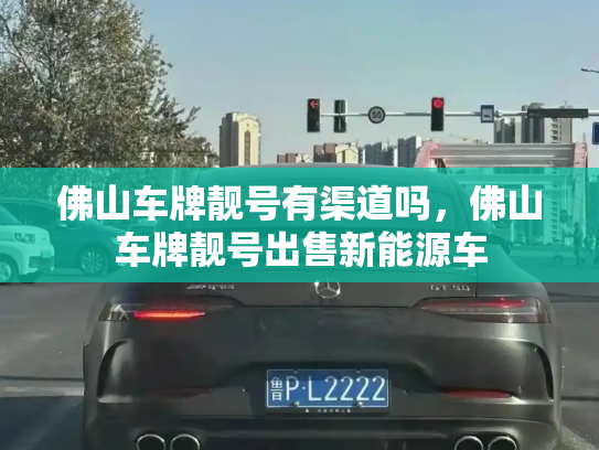 佛山车牌靓号有渠道吗，佛山车牌靓号出售新能源车-第2张图片-七号汽车选号