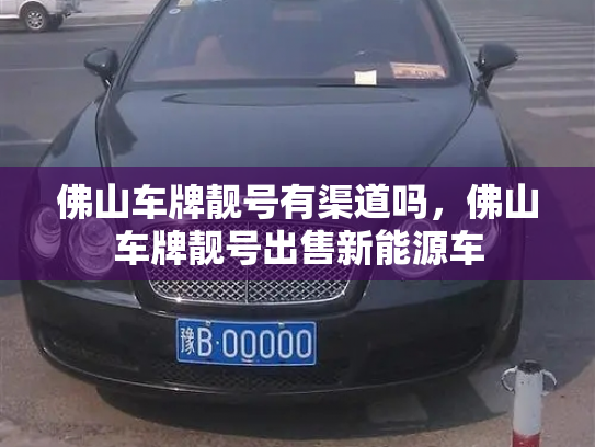 佛山车牌靓号有渠道吗，佛山车牌靓号出售新能源车-第3张图片-七号汽车选号