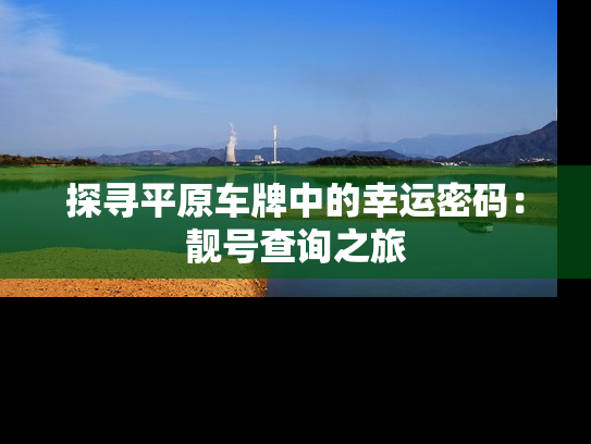 探寻平原车牌中的幸运密码：靓号查询之旅