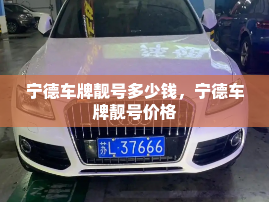 宁德车牌靓号多少钱，宁德车牌靓号价格-第3张图片-七号汽车选号