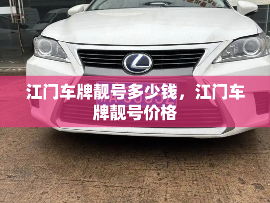 江门车牌靓号多少钱,江门车牌靓号价格-第3张图片-七号汽车选号 江门车牌靓号多少钱,江门车牌靓号价格-第3张图片-七号汽车选号