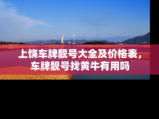 上饶车牌靓号大全及价格表，车牌靓号找黄牛有用吗