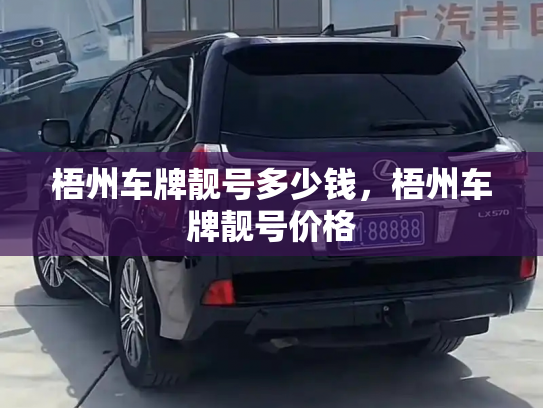 梧州车牌靓号多少钱，梧州车牌靓号价格-第4张图片-七号汽车选号