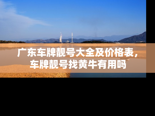 广东车牌靓号大全及价格表，车牌靓号找黄牛有用吗