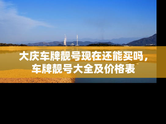 大庆车牌靓号现在还能买吗，车牌靓号大全及价格表