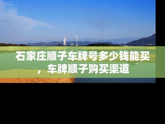 石家庄顺子车牌号多少钱能买，车牌顺子购买渠道