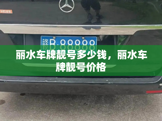 丽水车牌靓号多少钱，丽水车牌靓号价格-第3张图片-七号汽车选号