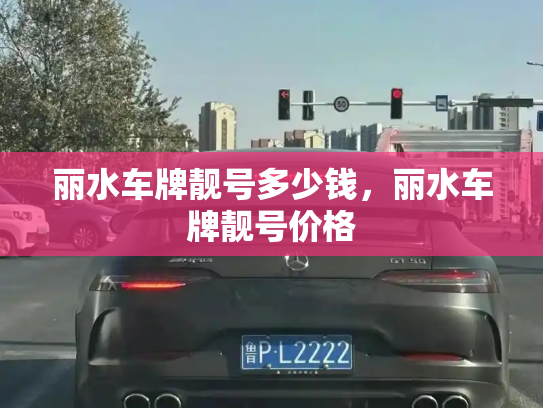 丽水车牌靓号多少钱，丽水车牌靓号价格-第4张图片-七号汽车选号