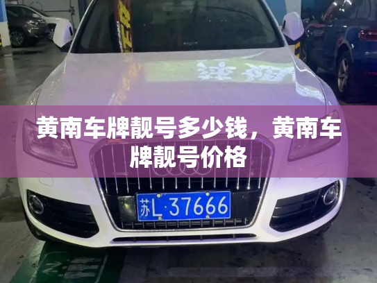 黄南车牌靓号多少钱，黄南车牌靓号价格-第3张图片-七号汽车选号