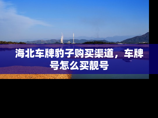 海北车牌豹子购买渠道，车牌号怎么买靓号