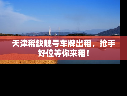 天津稀缺靓号车牌出租，抢手好位等你来租！