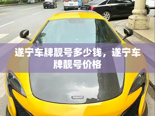 遂宁车牌靓号多少钱，遂宁车牌靓号价格-第2张图片-七号汽车选号