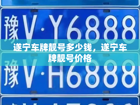 遂宁车牌靓号多少钱，遂宁车牌靓号价格-第3张图片-七号汽车选号