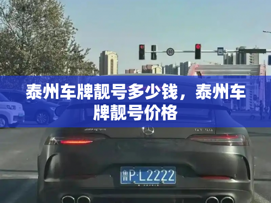 泰州车牌靓号多少钱，泰州车牌靓号价格-第3张图片-七号汽车选号