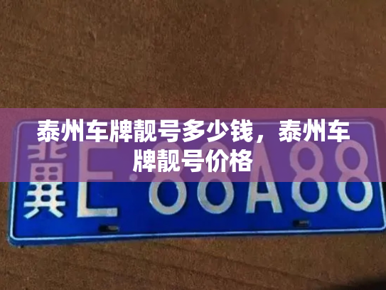 泰州车牌靓号多少钱，泰州车牌靓号价格-第4张图片-七号汽车选号