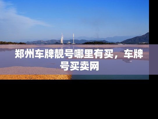 郑州车牌靓号哪里有买，车牌号买卖网