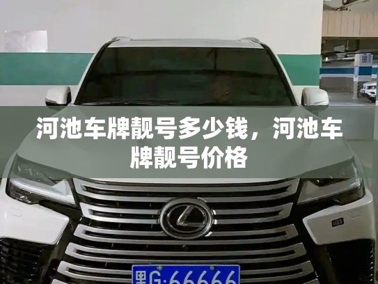 河池车牌靓号多少钱，河池车牌靓号价格-第2张图片-七号汽车选号