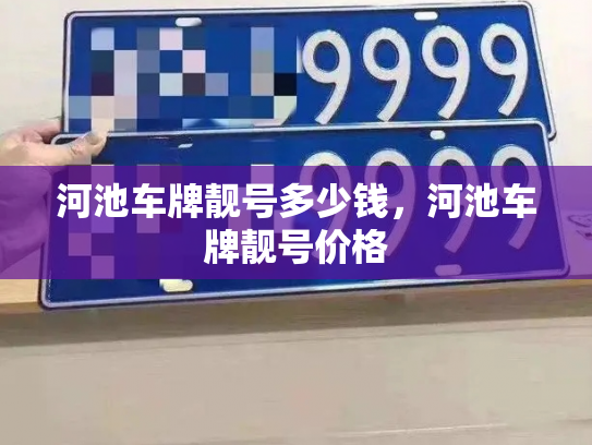 河池车牌靓号多少钱，河池车牌靓号价格-第3张图片-七号汽车选号