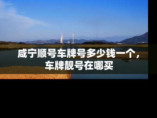 咸宁顺号车牌号多少钱一个，车牌靓号在哪买