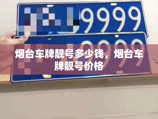 烟台车牌靓号多少钱，烟台车牌靓号价格-第3张图片-七号汽车选号