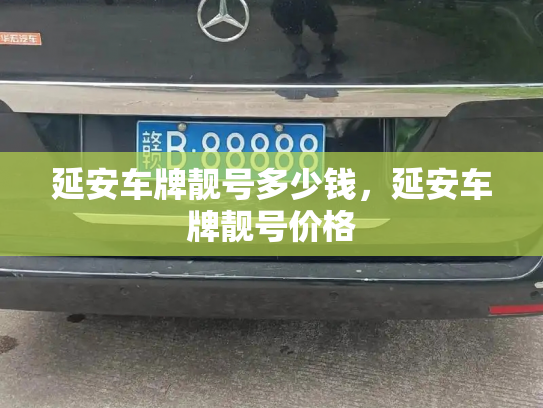 延安车牌靓号多少钱，延安车牌靓号价格-第3张图片-七号汽车选号