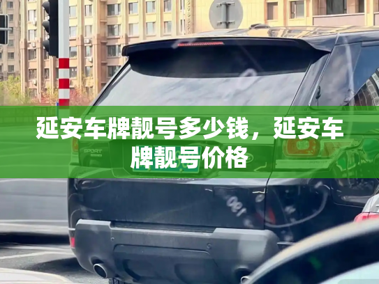 延安车牌靓号多少钱，延安车牌靓号价格-第4张图片-七号汽车选号