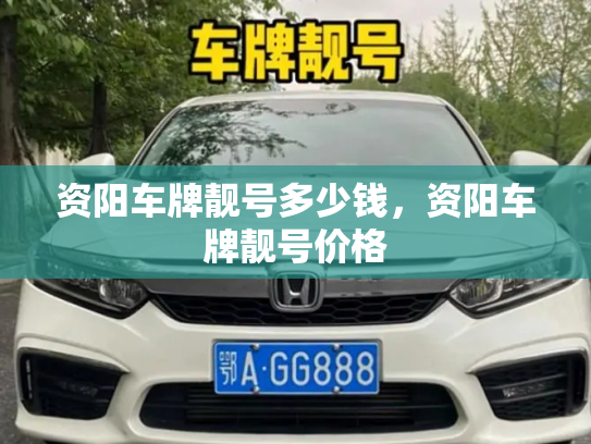 资阳车牌靓号多少钱，资阳车牌靓号价格-第4张图片-七号汽车选号