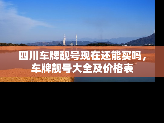 四川车牌靓号现在还能买吗，车牌靓号大全及价格表