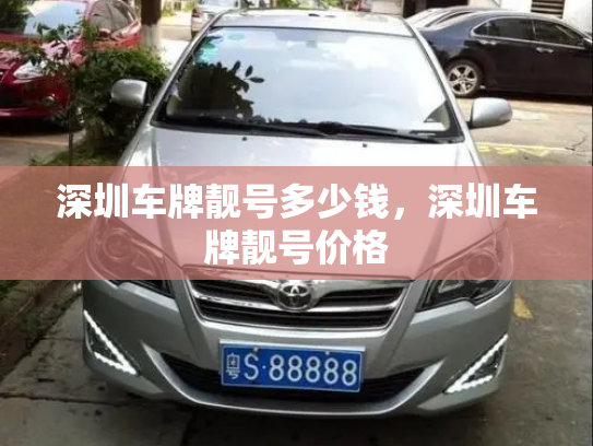 深圳车牌靓号多少钱,深圳车牌靓号价格-第3张图片-七号汽车选号 深圳车牌靓号多少钱,深圳车牌靓号价格-第3张图片-七号汽车选号