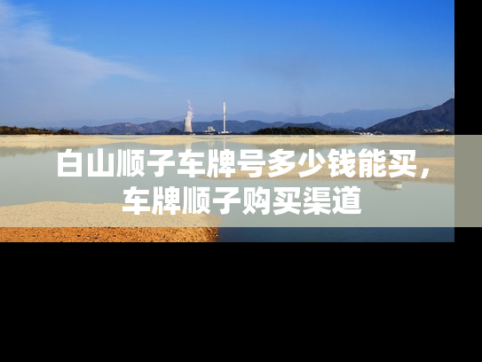 白山顺子车牌号多少钱能买，车牌顺子购买渠道