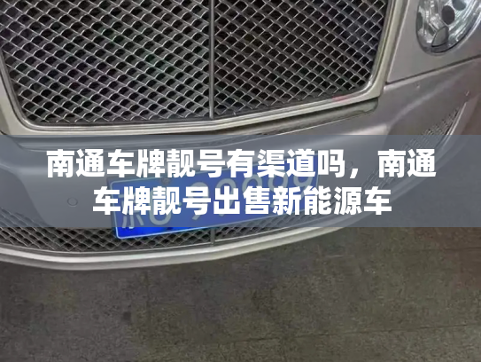 南通车牌靓号有渠道吗,南通车牌靓号出售新能源车-第3张图片-七号汽车选号 南通车牌靓号有渠道吗,南通车牌靓号出售新能源车-第3张图片-七号汽车选号