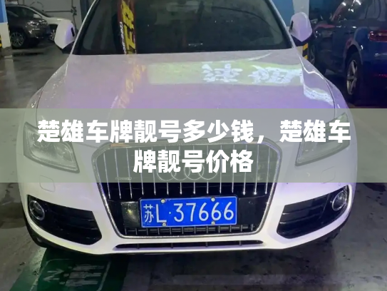 楚雄车牌靓号多少钱，楚雄车牌靓号价格-第3张图片-七号汽车选号