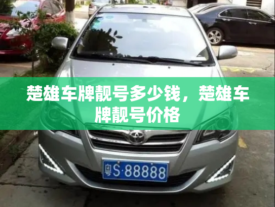 楚雄车牌靓号多少钱，楚雄车牌靓号价格-第4张图片-七号汽车选号